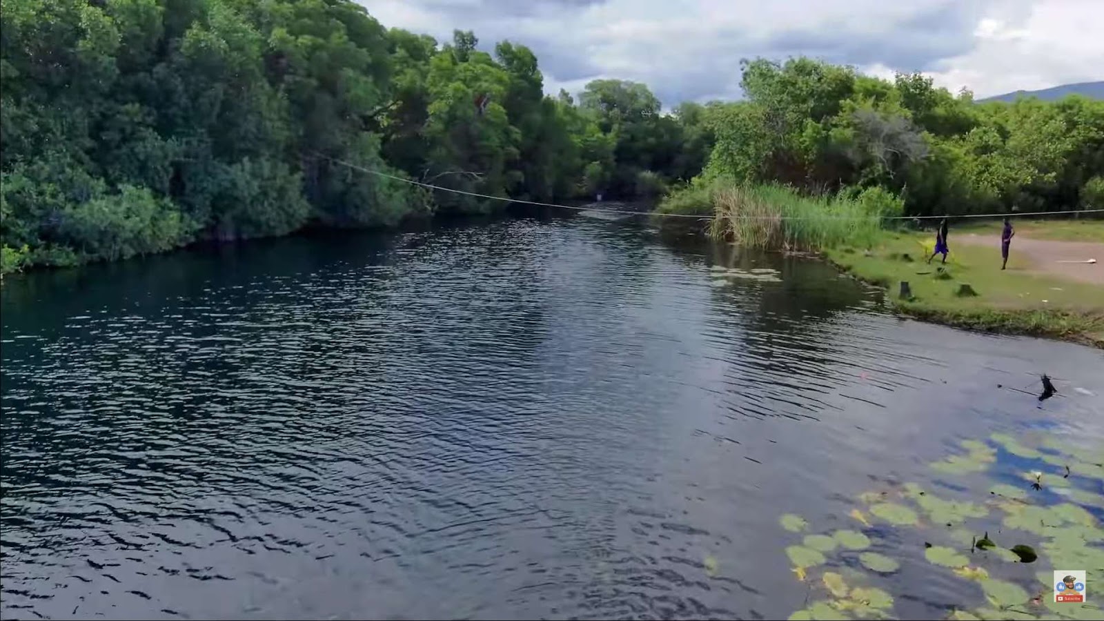 Alligator Pond Jamaica: Natural Wonders Await