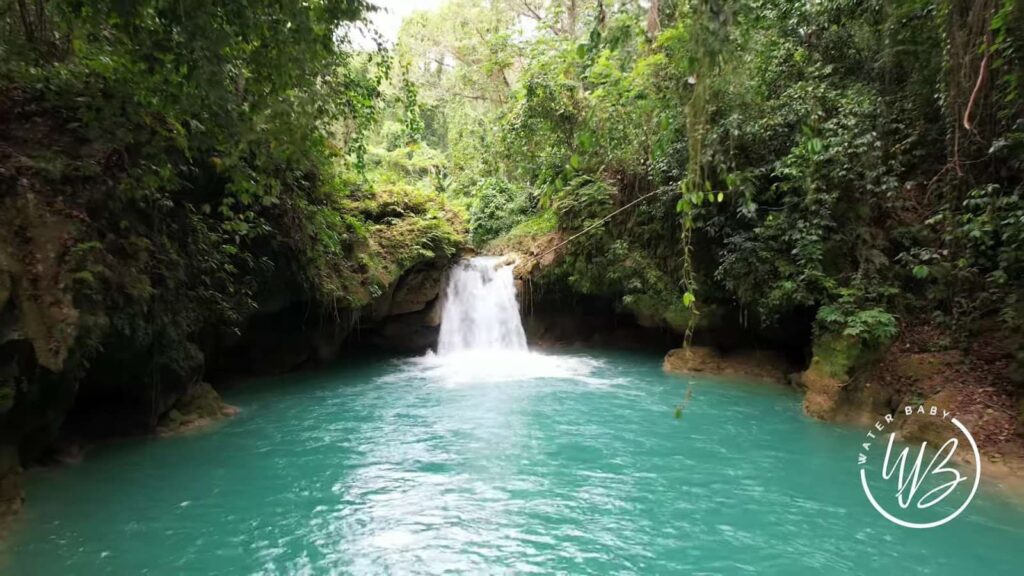 Breadnut Valley Falls