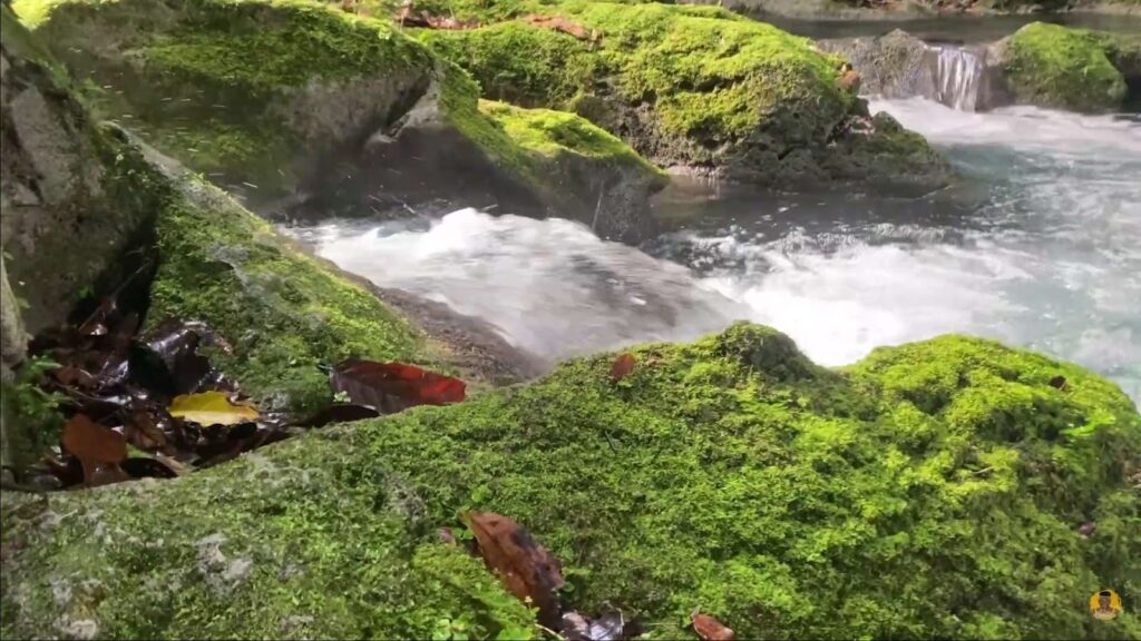 Reach Falls Portland in Jamaica