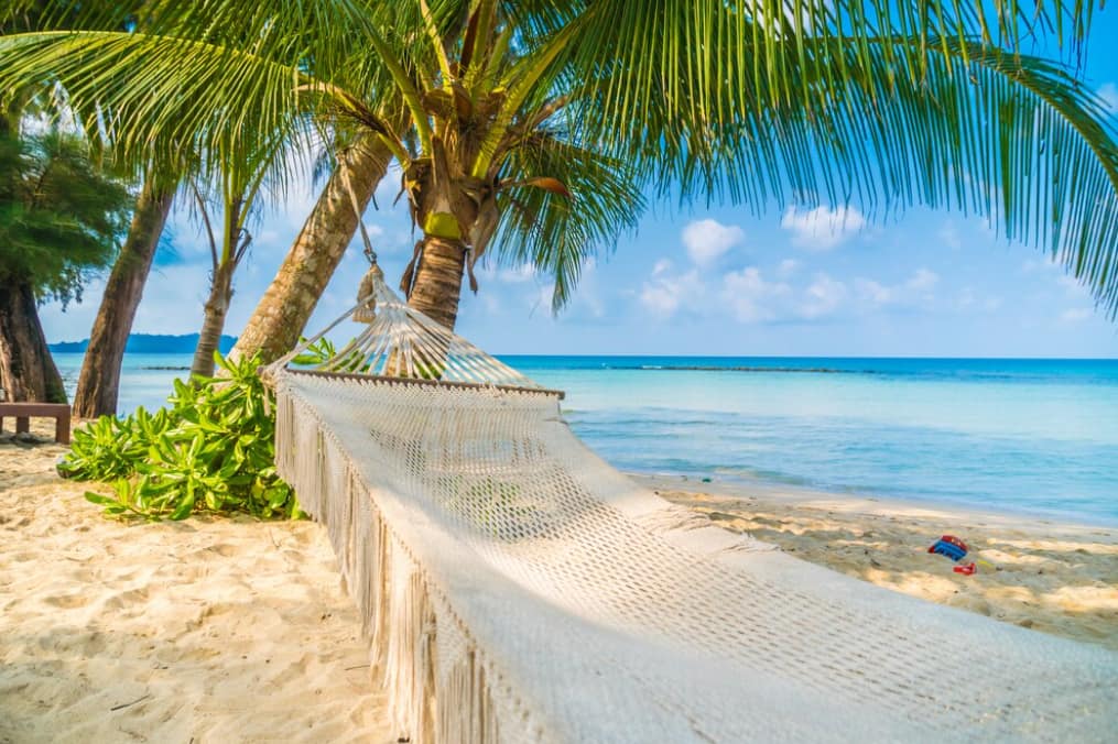 A hammock strung between palm trees on a tranquil beach