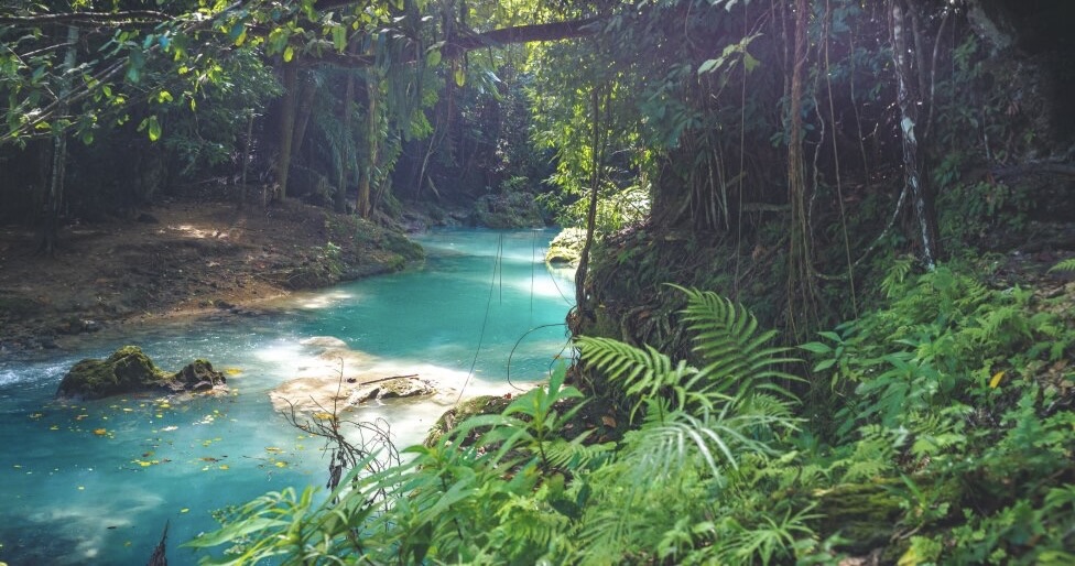 Green area with river (Ocho Rios)