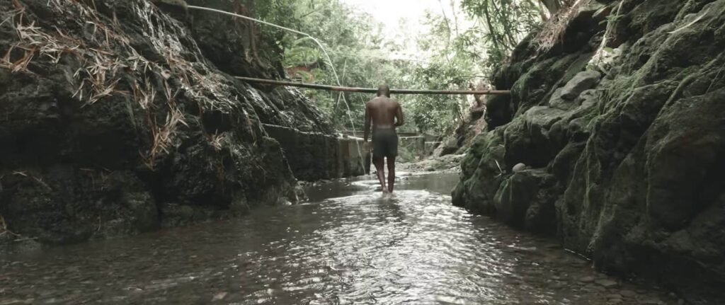 A person walking away in a narrow rocky stream flanked by lush vegetation