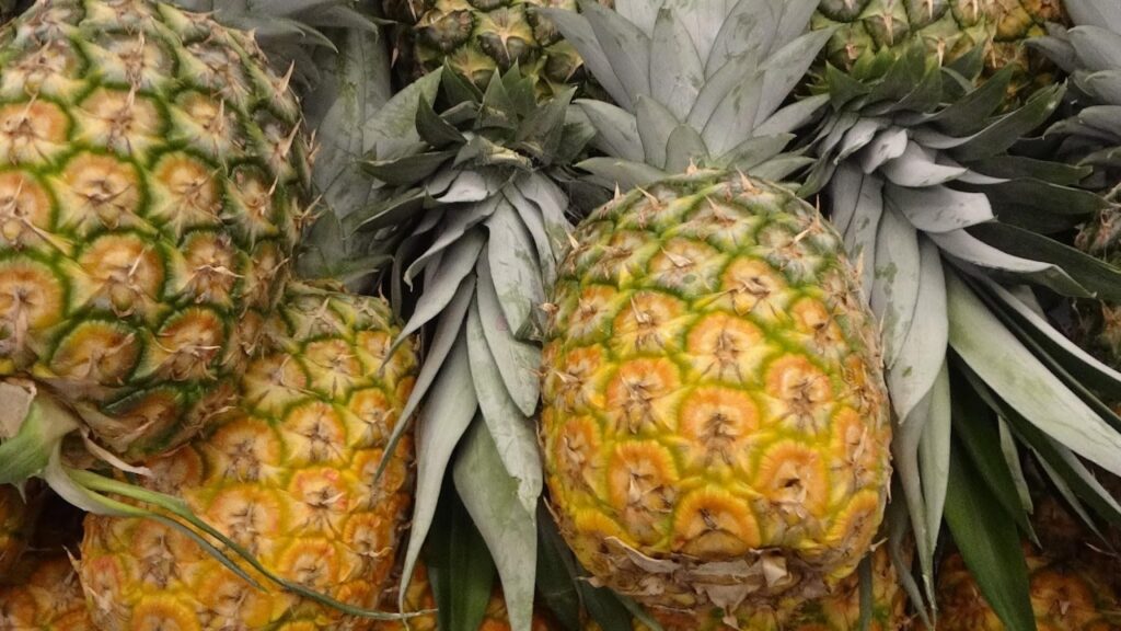 pineapples